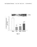 Na/K-ATPase Ligand and Uses Thereof in Wound Healing diagram and image