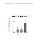 Na/K-ATPase Ligand and Uses Thereof in Wound Healing diagram and image