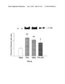 Na/K-ATPase Ligand and Uses Thereof in Wound Healing diagram and image