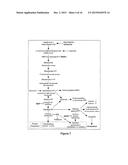 COMPOSITION AND METHODS USED DURING ANTI-HIV TREATMENT diagram and image