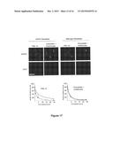 COMPOSITION AND METHODS USED DURING ANTI-HIV TREATMENT diagram and image