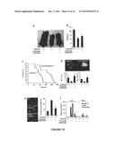 COMPOSITION AND METHODS USED DURING ANTI-HIV TREATMENT diagram and image