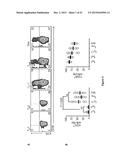 ICOS Critically Regulates the Expansion and Function of Inflammatory Human     Th17 Cells diagram and image