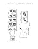 ICOS Critically Regulates the Expansion and Function of Inflammatory Human     Th17 Cells diagram and image