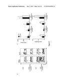 ICOS Critically Regulates the Expansion and Function of Inflammatory Human     Th17 Cells diagram and image