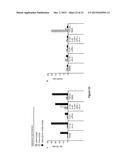 ICOS Critically Regulates the Expansion and Function of Inflammatory Human     Th17 Cells diagram and image