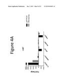 METHODS FOR TREATING CANCER USING COMPOSITIONS COMPRISING HSS1 AND/OR HSM1 diagram and image