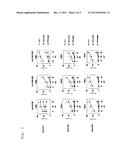 CTL INDUCER COMPOSITION diagram and image