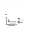 COMPOSITIONS, METHODS AND USES FOR EXPRESSION OF     ENTEROBACTERIUM-ASSOCIATED PEPTIDES diagram and image