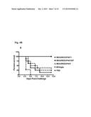 COMPOSITIONS, METHODS AND USES FOR EXPRESSION OF     ENTEROBACTERIUM-ASSOCIATED PEPTIDES diagram and image