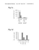 LONG PEPTIDES OF 22-45 AMINO ACID RESIDUES THAT INDUCE AND/OR ENHANCE     ANTIGEN  SPECIFIC IMMUNE RESPONSES diagram and image