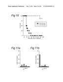 LONG PEPTIDES OF 22-45 AMINO ACID RESIDUES THAT INDUCE AND/OR ENHANCE     ANTIGEN  SPECIFIC IMMUNE RESPONSES diagram and image