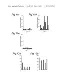 LONG PEPTIDES OF 22-45 AMINO ACID RESIDUES THAT INDUCE AND/OR ENHANCE     ANTIGEN  SPECIFIC IMMUNE RESPONSES diagram and image