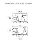 COMPOSITIONS AND METHODS USING RECOMBINANT MHC MOLECULES FOR THE TREATMENT     OF STROKE diagram and image