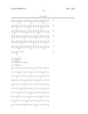 COMPOSITIONS AND METHODS USING RECOMBINANT MHC MOLECULES FOR THE TREATMENT     OF STROKE diagram and image