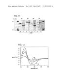 COMPOSITIONS AND METHODS USING RECOMBINANT MHC MOLECULES FOR THE TREATMENT     OF STROKE diagram and image