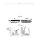 COMPOSITIONS AND METHODS USING RECOMBINANT MHC MOLECULES FOR THE TREATMENT     OF STROKE diagram and image