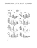 COMPOSITIONS AND METHODS USING RECOMBINANT MHC MOLECULES FOR THE TREATMENT     OF STROKE diagram and image