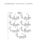 COMPOSITIONS AND METHODS USING RECOMBINANT MHC MOLECULES FOR THE TREATMENT     OF STROKE diagram and image