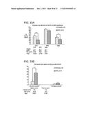 COMPOSITIONS AND METHODS USING RECOMBINANT MHC MOLECULES FOR THE TREATMENT     OF STROKE diagram and image