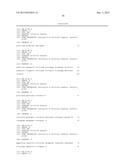 COMPOSITIONS AND METHODS USING RECOMBINANT MHC MOLECULES FOR THE TREATMENT     OF STROKE diagram and image