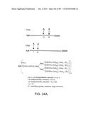 GLYCOPEGYLATION METHODS AND PROTEINS/PEPTIDES PRODUCED BY THE METHODS diagram and image