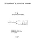 GLYCOPEGYLATION METHODS AND PROTEINS/PEPTIDES PRODUCED BY THE METHODS diagram and image