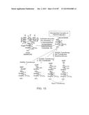 GLYCOPEGYLATION METHODS AND PROTEINS/PEPTIDES PRODUCED BY THE METHODS diagram and image