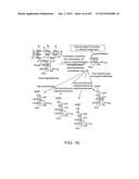 GLYCOPEGYLATION METHODS AND PROTEINS/PEPTIDES PRODUCED BY THE METHODS diagram and image