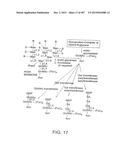 GLYCOPEGYLATION METHODS AND PROTEINS/PEPTIDES PRODUCED BY THE METHODS diagram and image