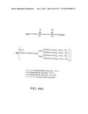 GLYCOPEGYLATION METHODS AND PROTEINS/PEPTIDES PRODUCED BY THE METHODS diagram and image