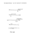 GLYCOPEGYLATION METHODS AND PROTEINS/PEPTIDES PRODUCED BY THE METHODS diagram and image