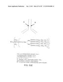 GLYCOPEGYLATION METHODS AND PROTEINS/PEPTIDES PRODUCED BY THE METHODS diagram and image