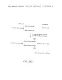 GLYCOPEGYLATION METHODS AND PROTEINS/PEPTIDES PRODUCED BY THE METHODS diagram and image