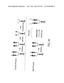 GLYCOPEGYLATION METHODS AND PROTEINS/PEPTIDES PRODUCED BY THE METHODS diagram and image