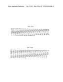 GLYCOPEGYLATION METHODS AND PROTEINS/PEPTIDES PRODUCED BY THE METHODS diagram and image