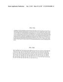 GLYCOPEGYLATION METHODS AND PROTEINS/PEPTIDES PRODUCED BY THE METHODS diagram and image