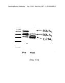 GLYCOPEGYLATION METHODS AND PROTEINS/PEPTIDES PRODUCED BY THE METHODS diagram and image