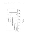 GLYCOPEGYLATION METHODS AND PROTEINS/PEPTIDES PRODUCED BY THE METHODS diagram and image