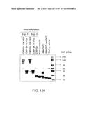 GLYCOPEGYLATION METHODS AND PROTEINS/PEPTIDES PRODUCED BY THE METHODS diagram and image