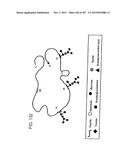 GLYCOPEGYLATION METHODS AND PROTEINS/PEPTIDES PRODUCED BY THE METHODS diagram and image