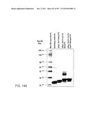 GLYCOPEGYLATION METHODS AND PROTEINS/PEPTIDES PRODUCED BY THE METHODS diagram and image