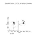 GLYCOPEGYLATION METHODS AND PROTEINS/PEPTIDES PRODUCED BY THE METHODS diagram and image