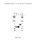 GLYCOPEGYLATION METHODS AND PROTEINS/PEPTIDES PRODUCED BY THE METHODS diagram and image