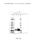 GLYCOPEGYLATION METHODS AND PROTEINS/PEPTIDES PRODUCED BY THE METHODS diagram and image