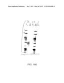 GLYCOPEGYLATION METHODS AND PROTEINS/PEPTIDES PRODUCED BY THE METHODS diagram and image