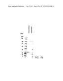 GLYCOPEGYLATION METHODS AND PROTEINS/PEPTIDES PRODUCED BY THE METHODS diagram and image