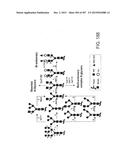 GLYCOPEGYLATION METHODS AND PROTEINS/PEPTIDES PRODUCED BY THE METHODS diagram and image