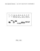 GLYCOPEGYLATION METHODS AND PROTEINS/PEPTIDES PRODUCED BY THE METHODS diagram and image