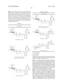 GLYCOPEGYLATION METHODS AND PROTEINS/PEPTIDES PRODUCED BY THE METHODS diagram and image